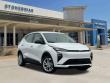  Chevrolet Bolt