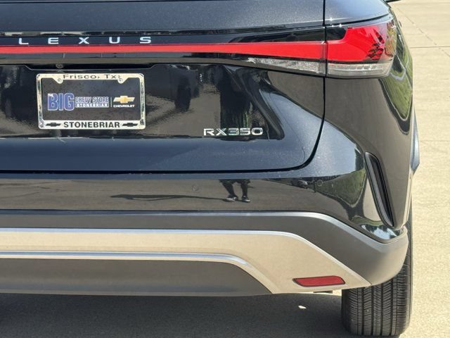 2023 Lexus RX 350 - Photo 6