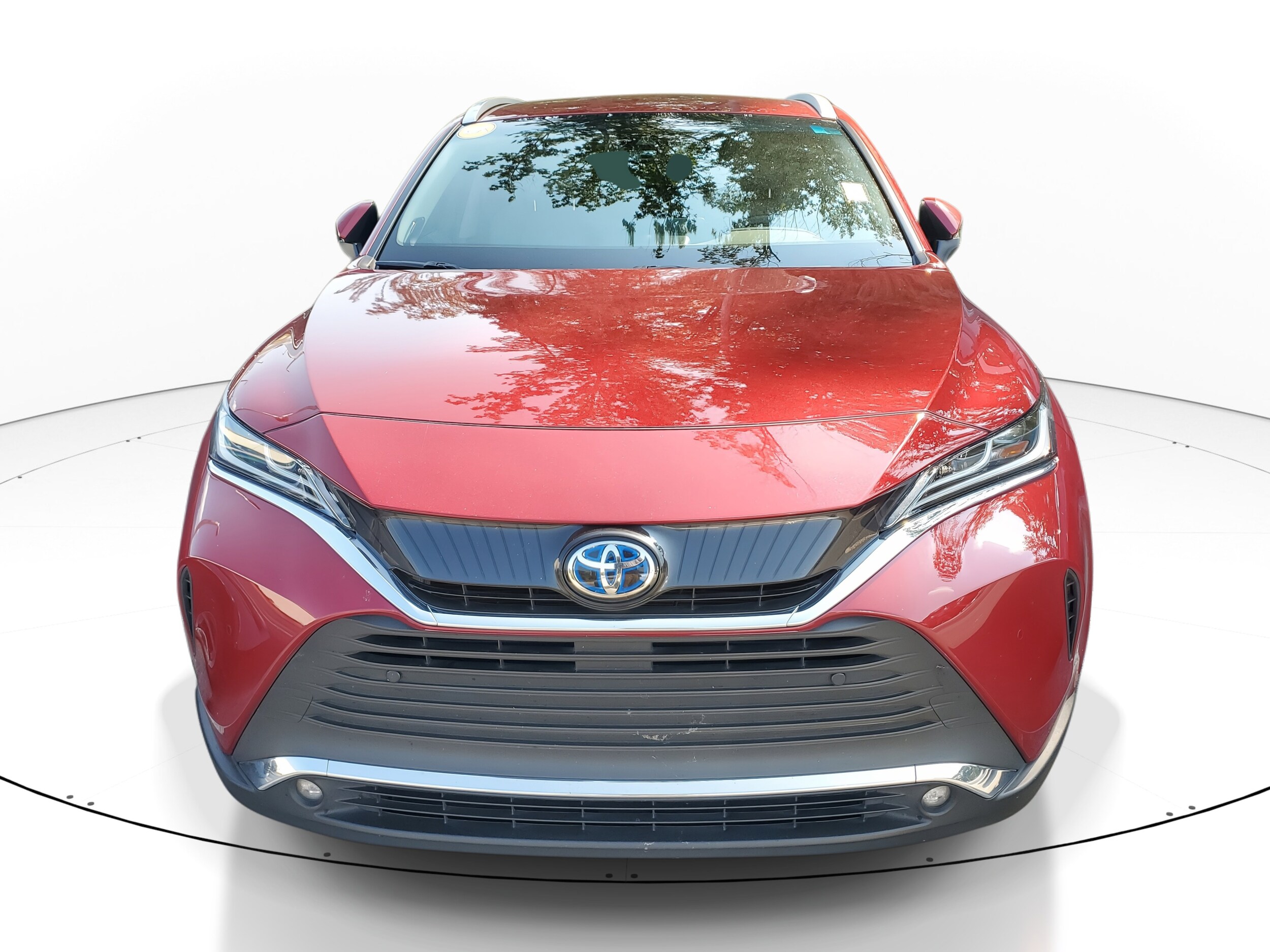 2024 Toyota Venza Base photo 2