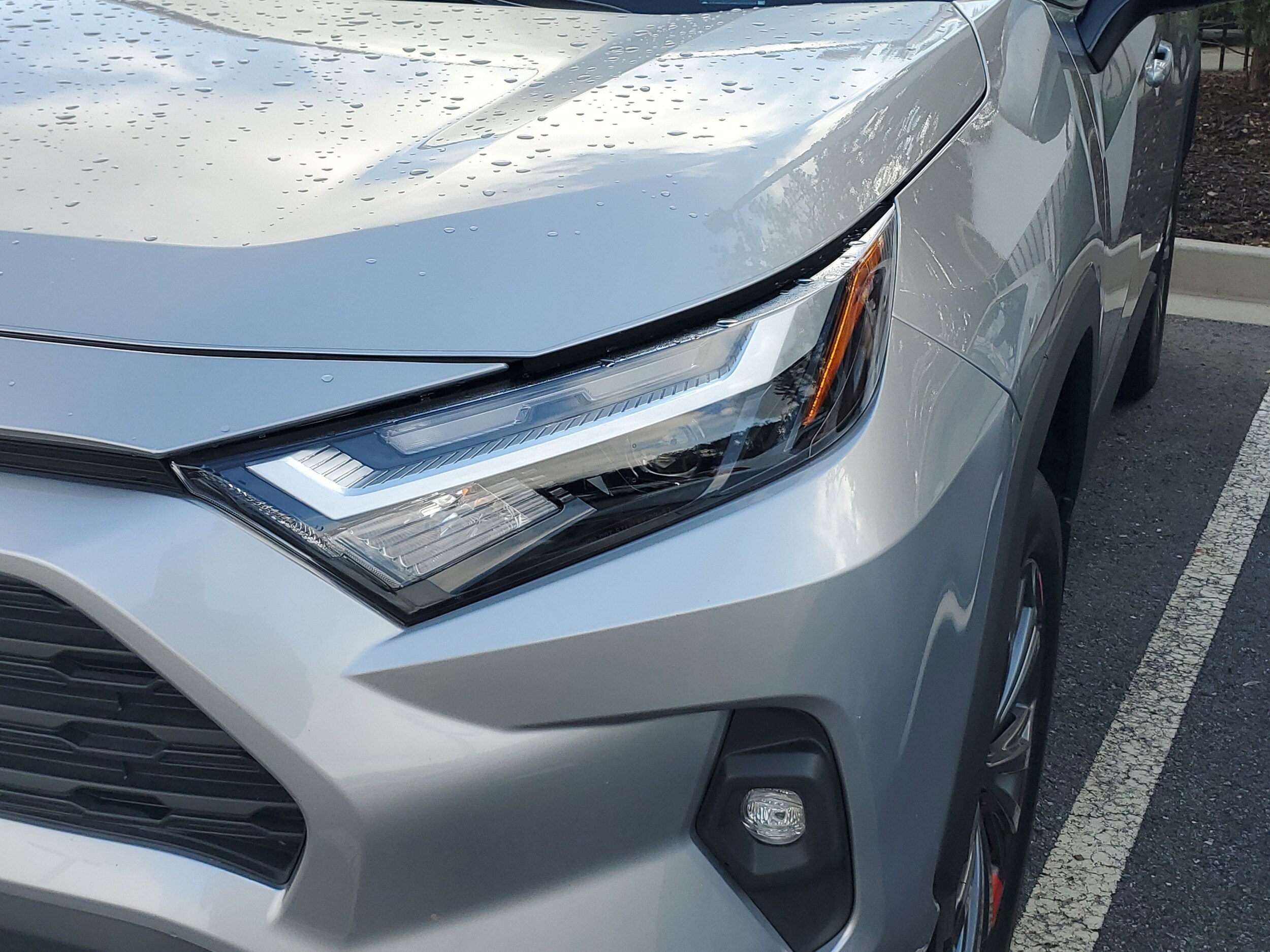 2024 Toyota RAV4 Hybrid XLE Premium photo 4