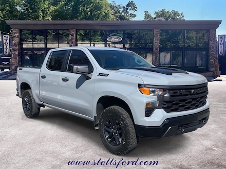 2025 Chevrolet Silverado 1500 Custom Trail Boss Truck Crew Cab