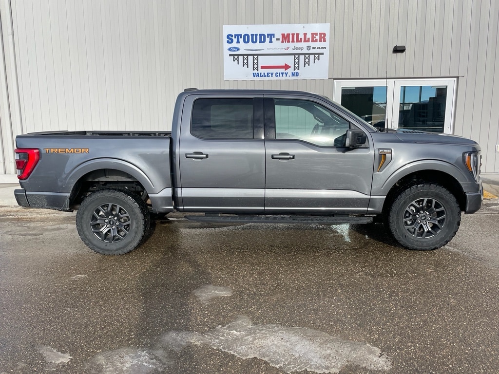 2023 Ford F-150 Tremor's photo