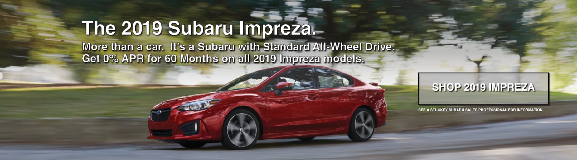 Stuckey Automotive Subaru, Buick, Ford, GMC Dealership in