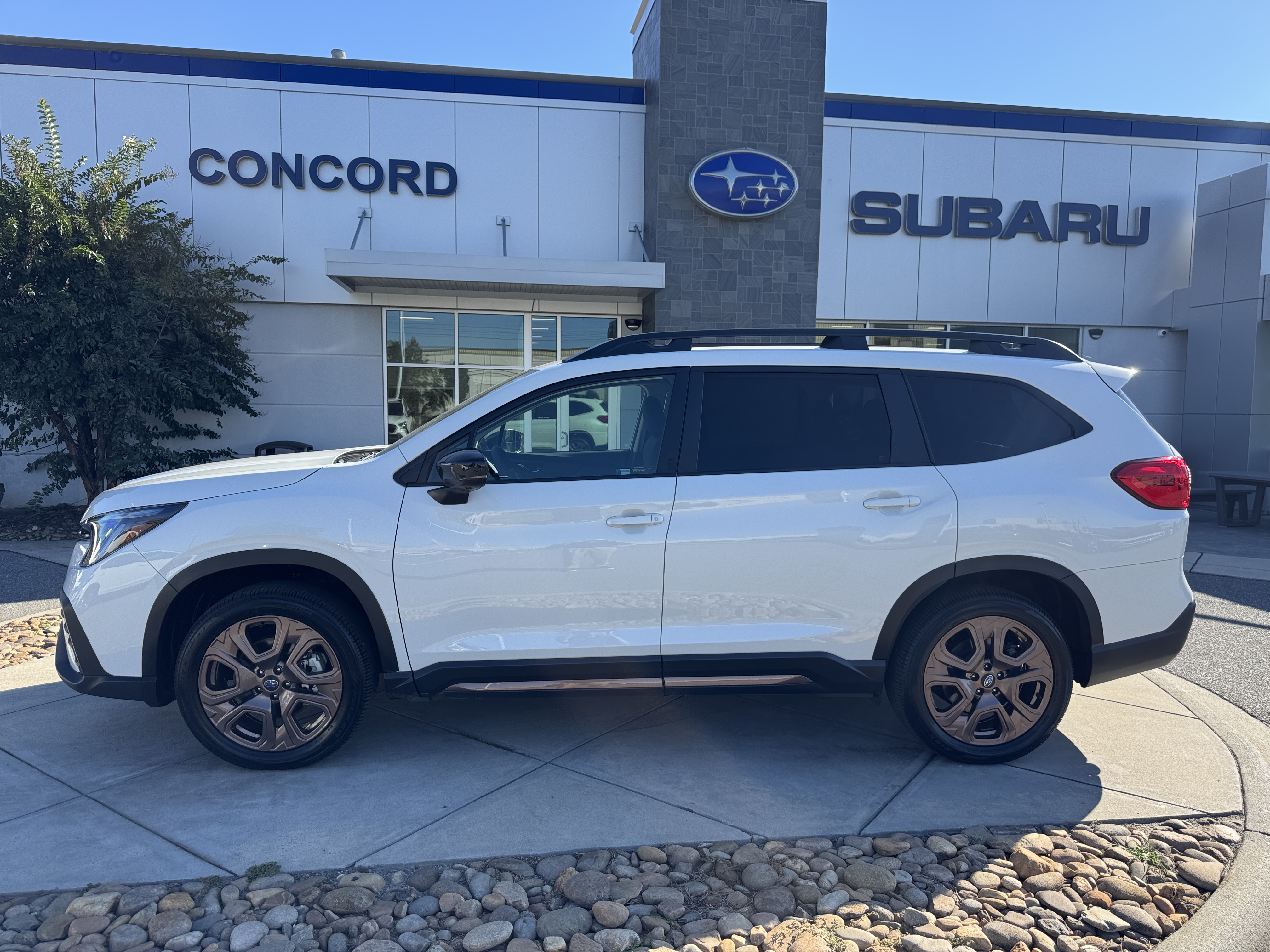 Pre-Owned 2026 Subaru Ascent Limited Bronze Edition SUV for Sale in Concord NC