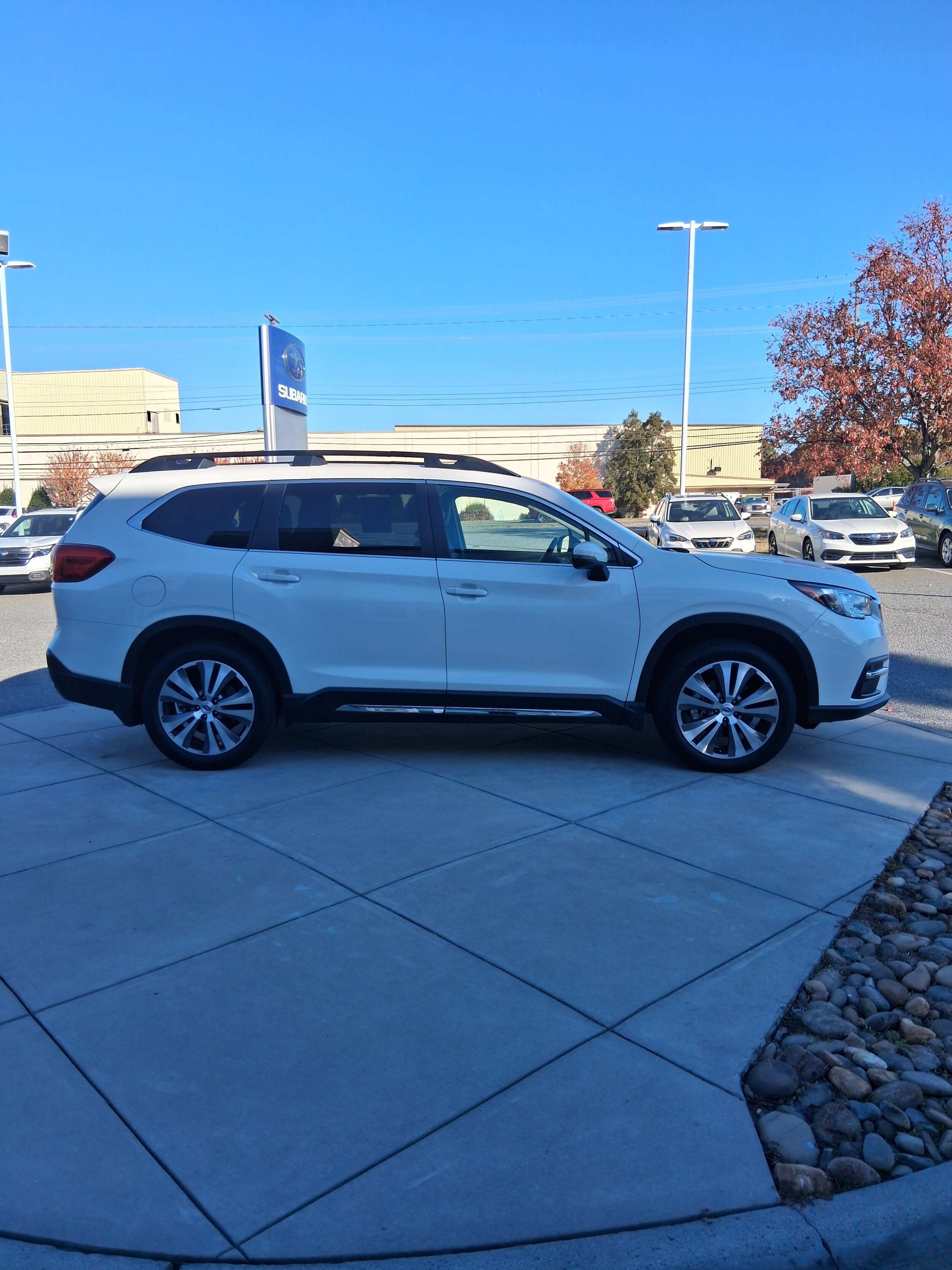 2021 Subaru Ascent Limited photo 3