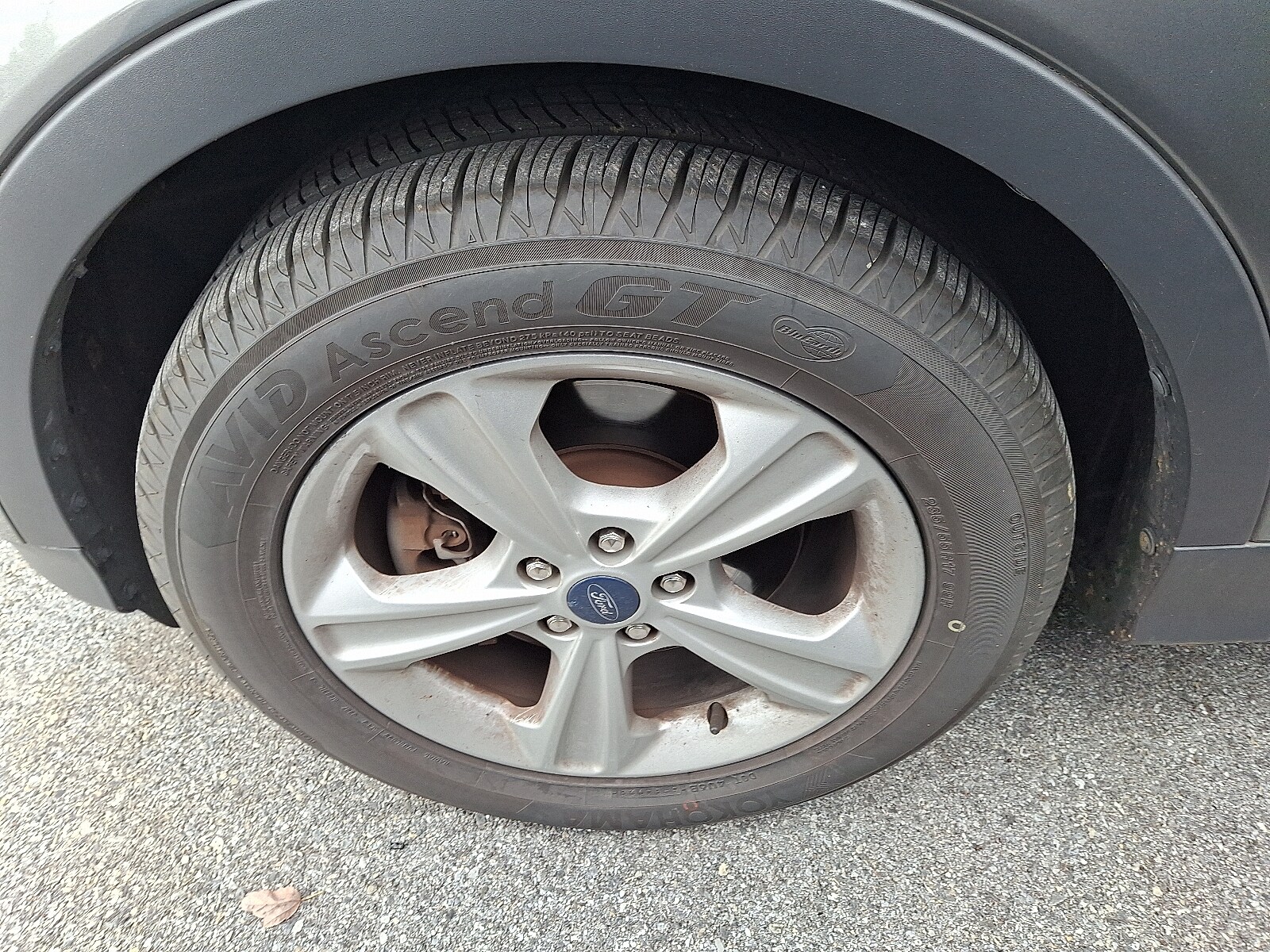 2014 Ford Escape SE Sport photo 3