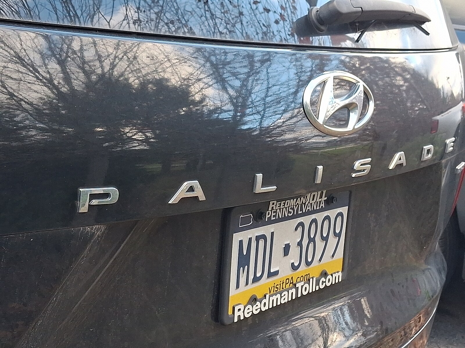 2020 Hyundai Palisade SEL photo 4