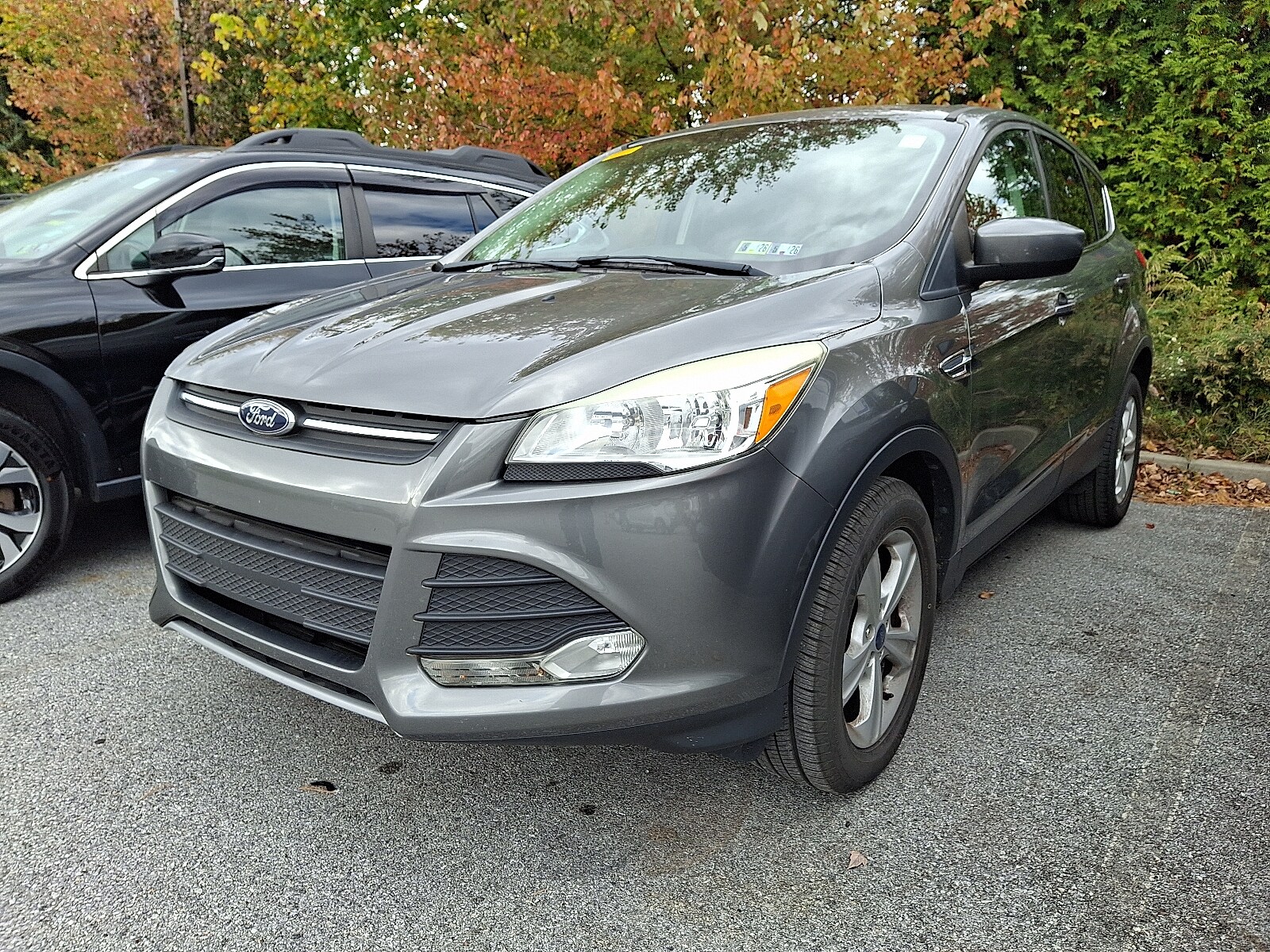 2014 Ford Escape SE Sport photo 2