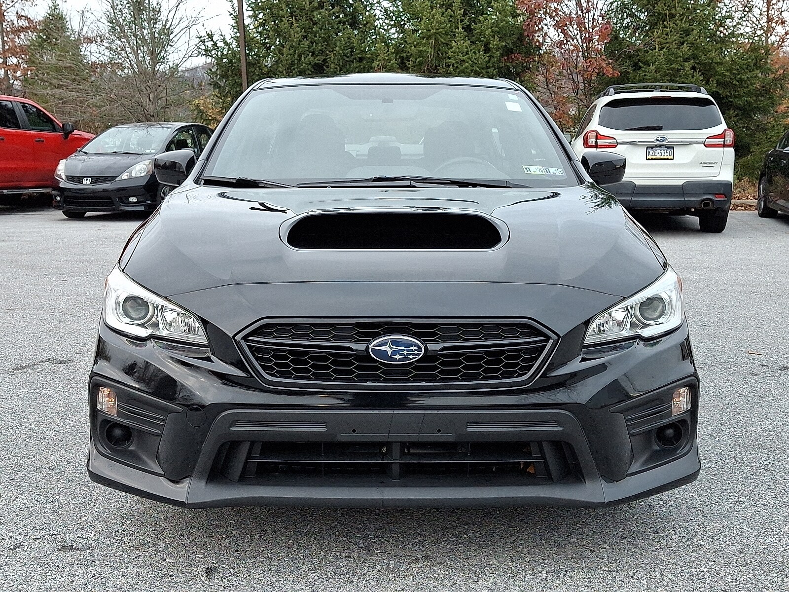 2021 Subaru WRX Base photo 2