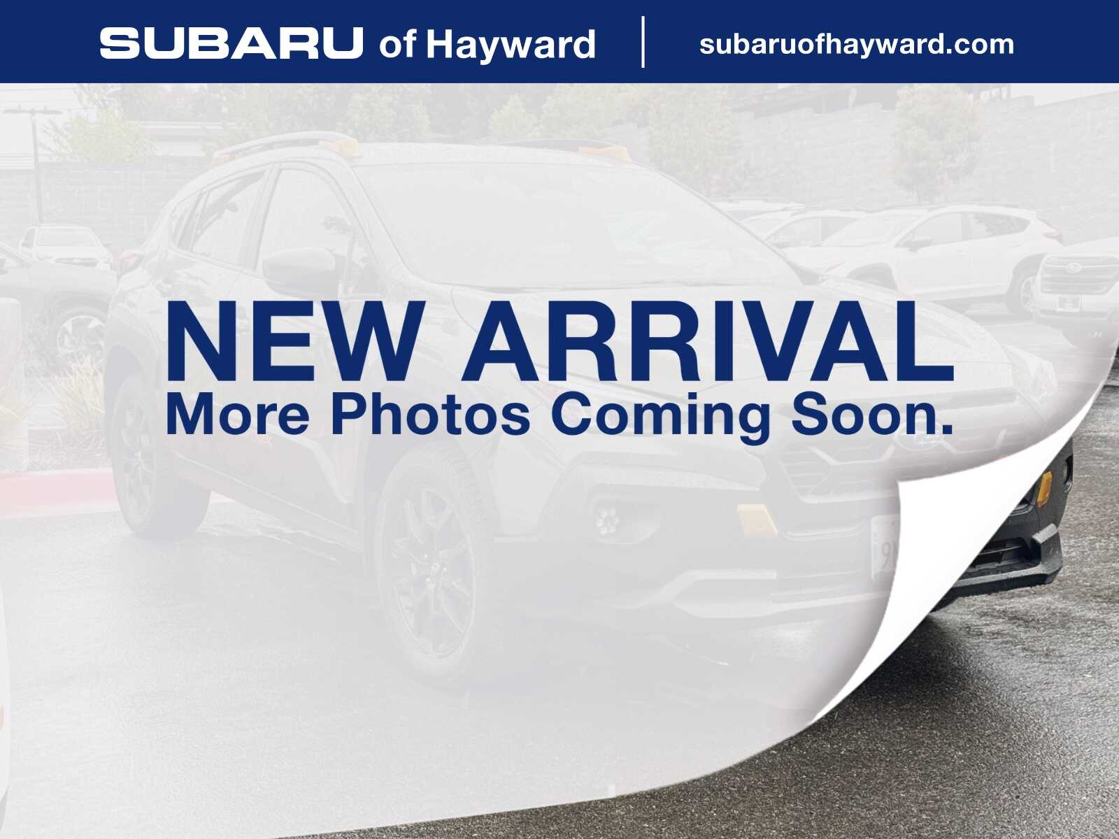 2024 Subaru Crosstrek Wilderness CVT's photo