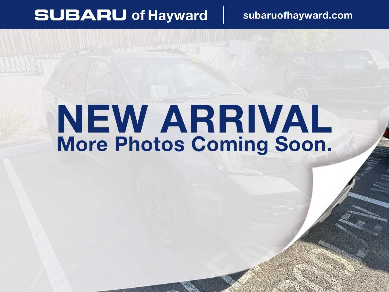 2025 Subaru Outback Outback Wilderness's photo