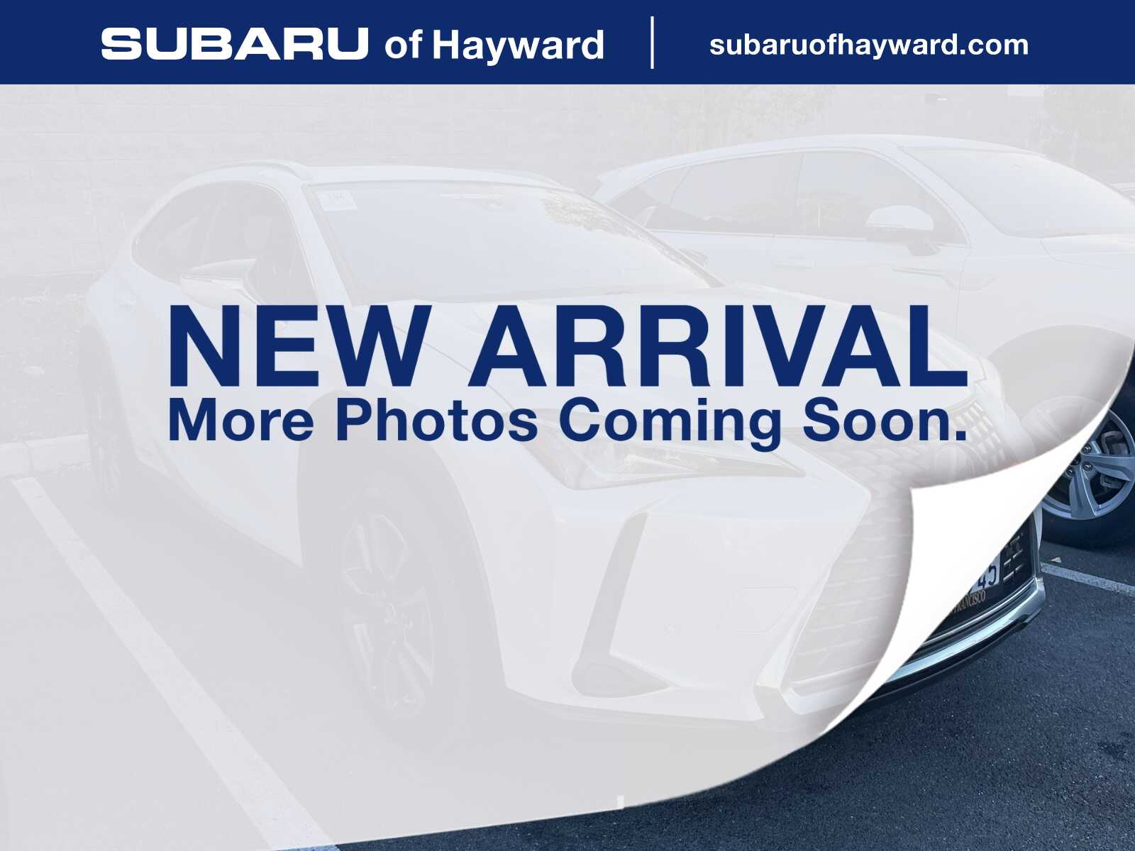 2020 Lexus UX Hybrid
