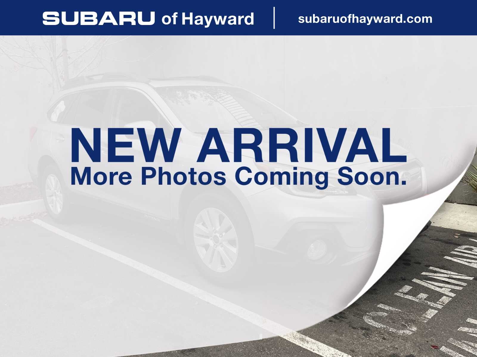 2019 Subaru Outback Premium's photo