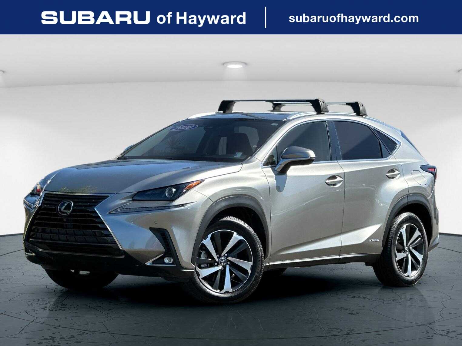 2020 Lexus NX 350h 300h AWD's photo