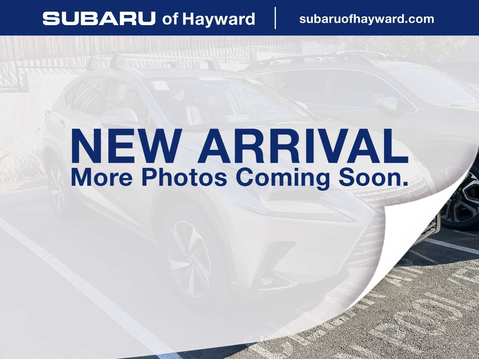 2020 Lexus NX 350h 300h AWD's photo