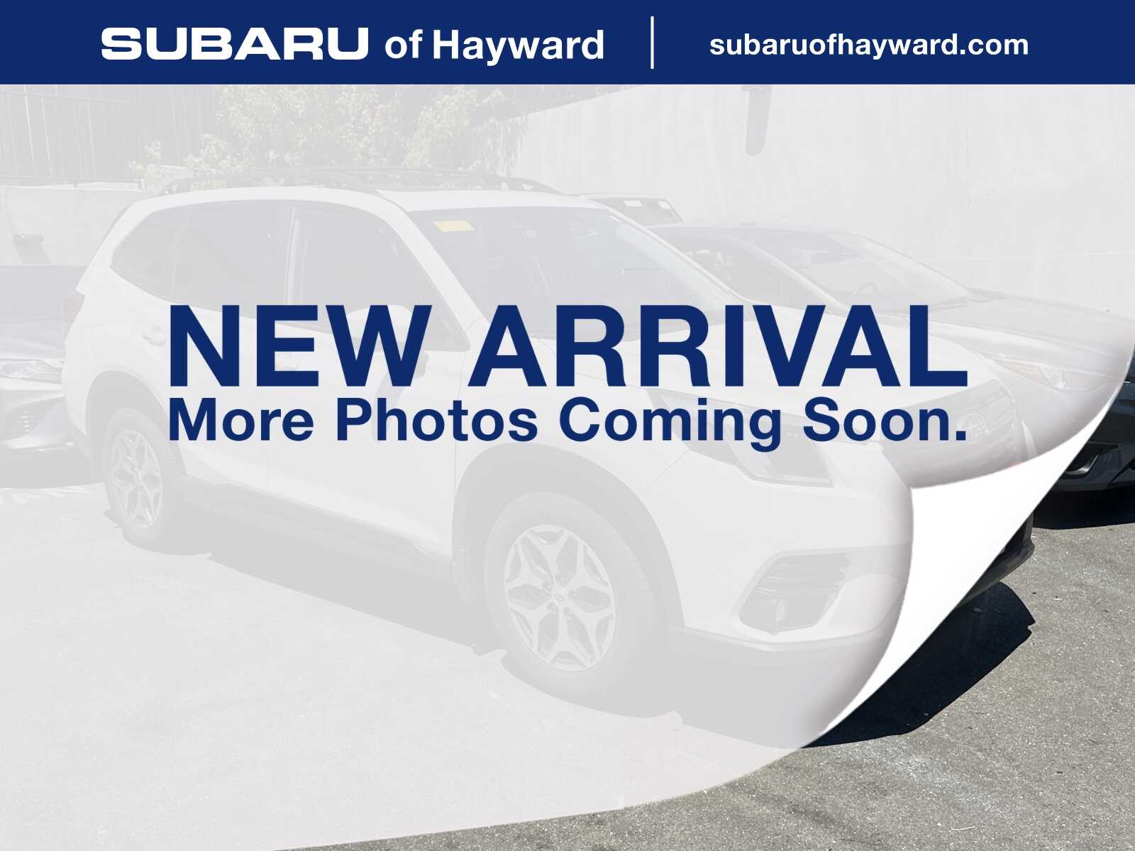 2024 Subaru Forester Premium's photo