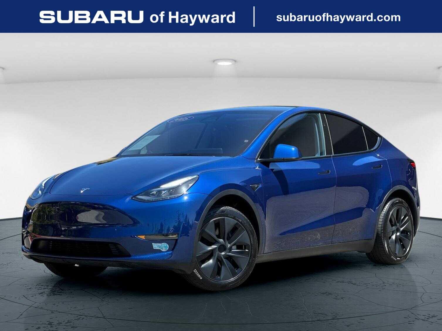 2025 Tesla Model Y Long Range Rear Wheel Drive's photo