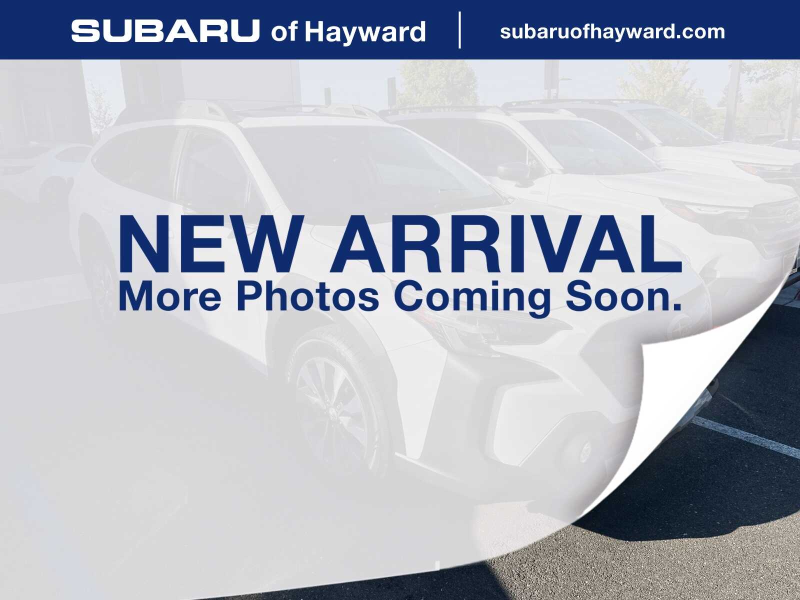 2023 Subaru Outback Limited's photo