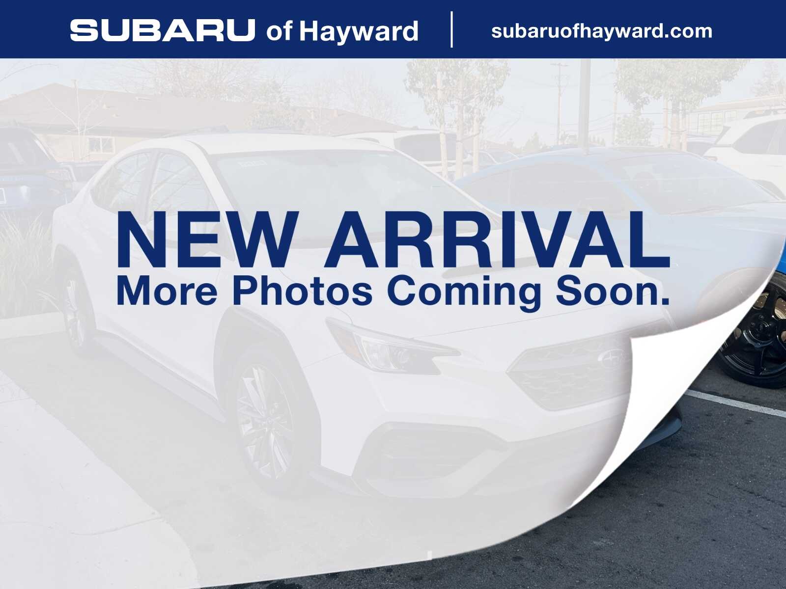 2022 Subaru WRX Base