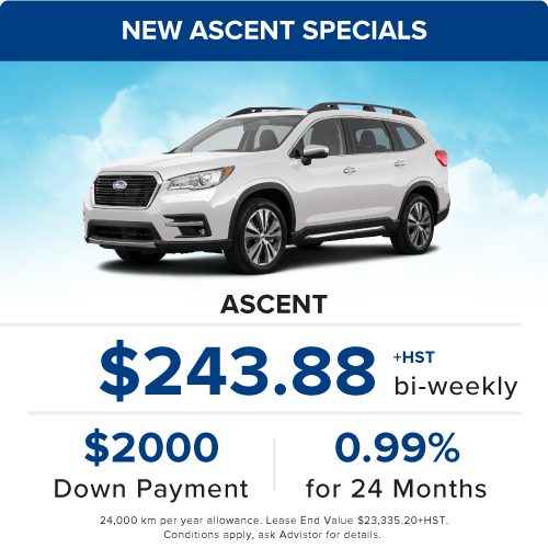 Ascentnewspecialoffer.png