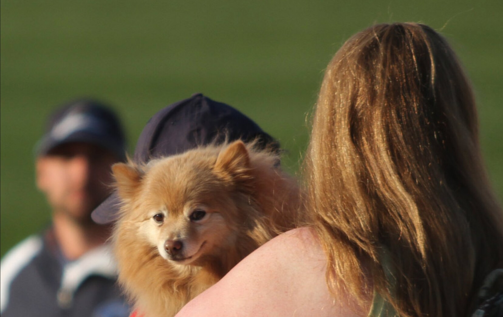 Camden River Sharks Dog Days of Summer