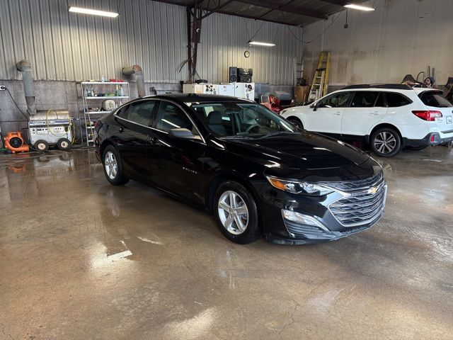 2023 Chevrolet Malibu 1LS's photo