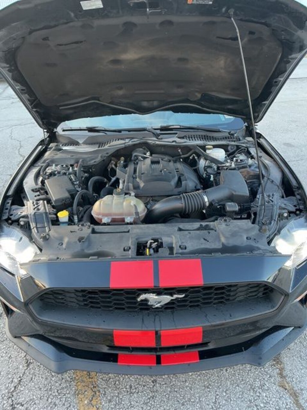 Used 2019 Ford Mustang Convertible