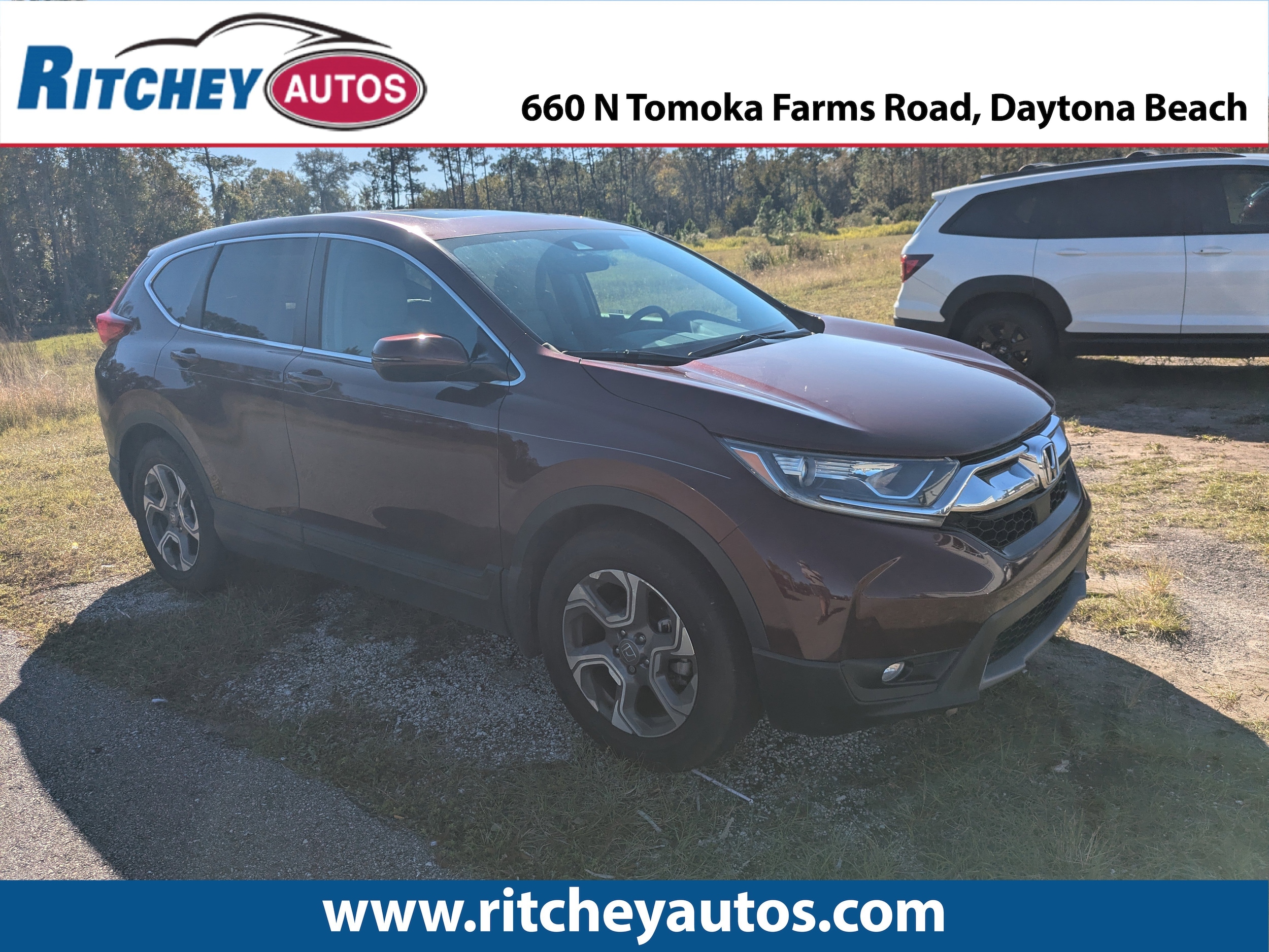 2019 Honda CR-V EX's photo