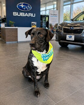 Staff member Luna from ID_7cc06f996547