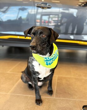 Staff member Luna from ID_d568b663f924