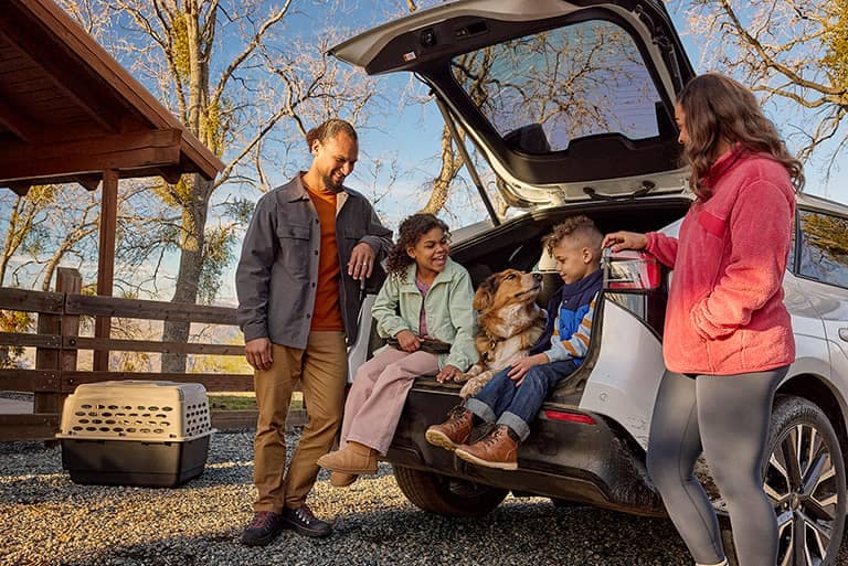 Solterra is available with a wide array of accessories. Contact Subaru of Gainesville for assistance in equipping your Solterra.