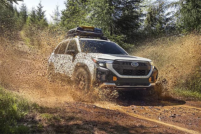 Looking for a little adventure? Check out the new Forester Wilderness at Subaru of Gainesville.