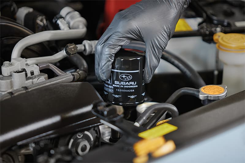 We use only Genuine Subaru Oil Filters for your Subaru Oil Change in at Subaru of Gainesville.
