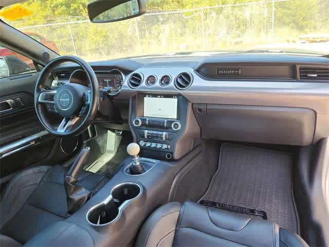 Thumbnail: 2019 Ford Mustang - 11