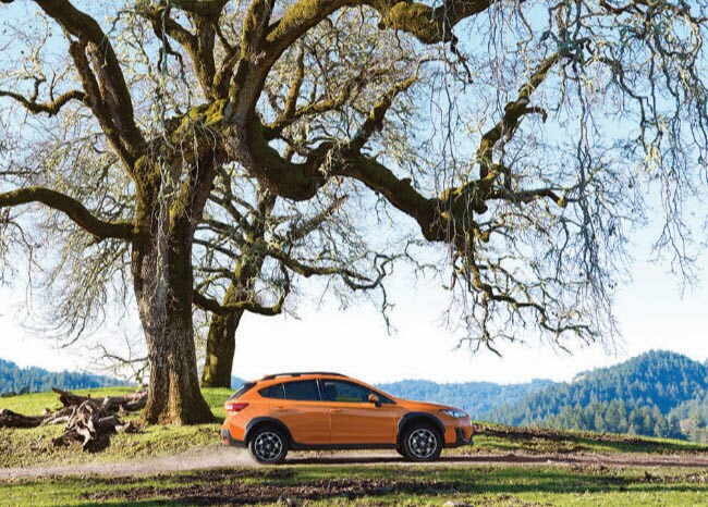 Hilton Head Subaru >> Subaru Dealer Hardeeville SC | Peacock Subaru Hilton Head Subaru >> Subaru Dealer Hardeeville SC | Peacock Subaru