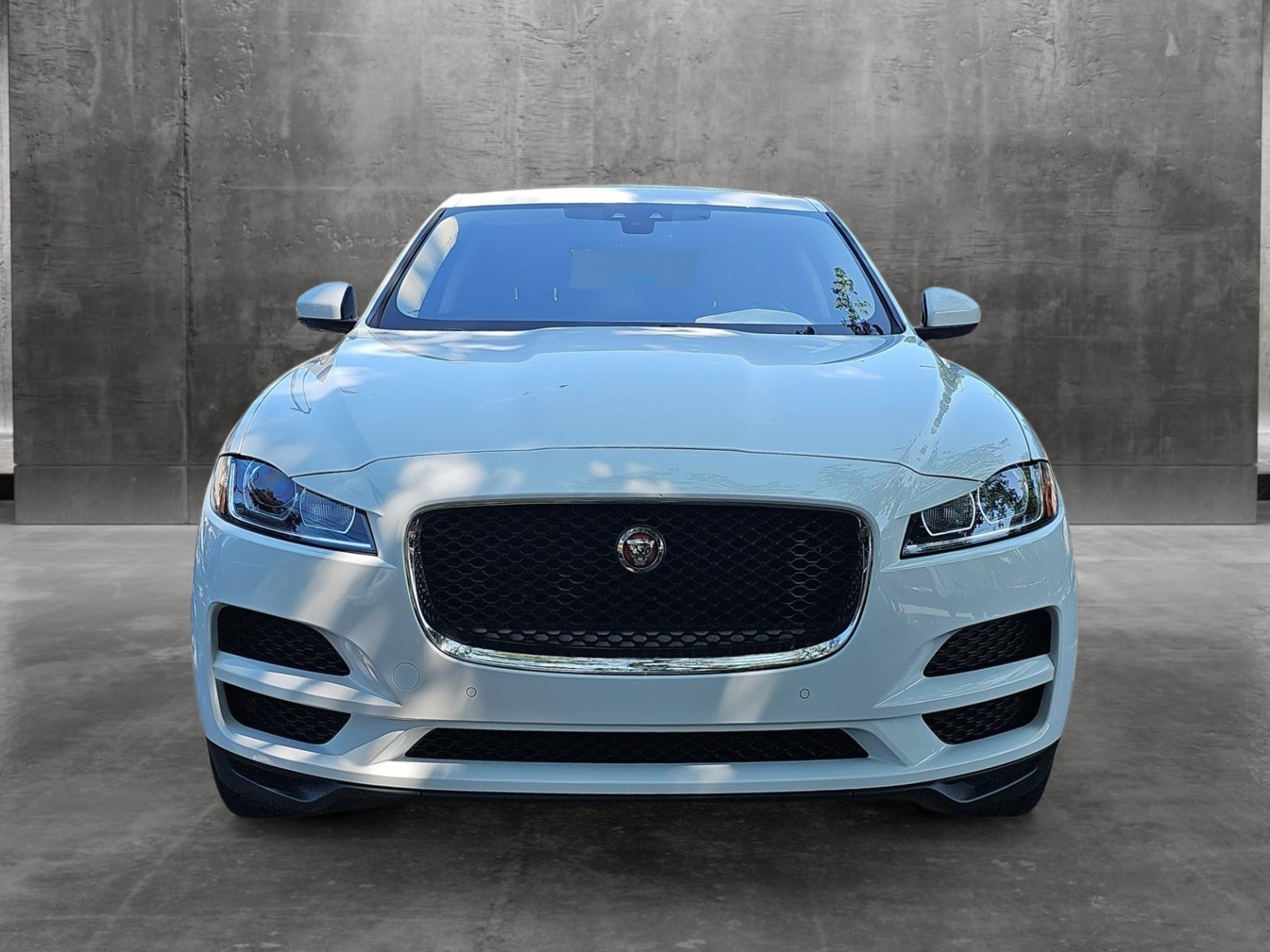 Used 2019 Jaguar F-Pace Premium with VIN SADCJ2FX9KA615965 for sale in Cockeysville, MD