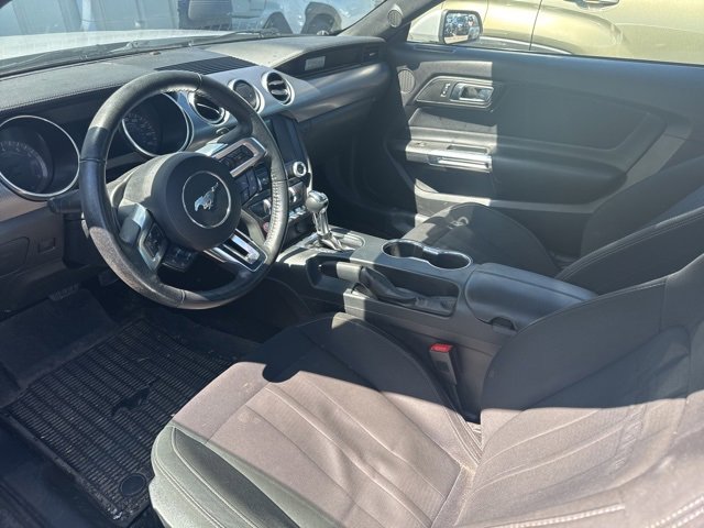 2019 Ford Mustang EcoBoost photo 3