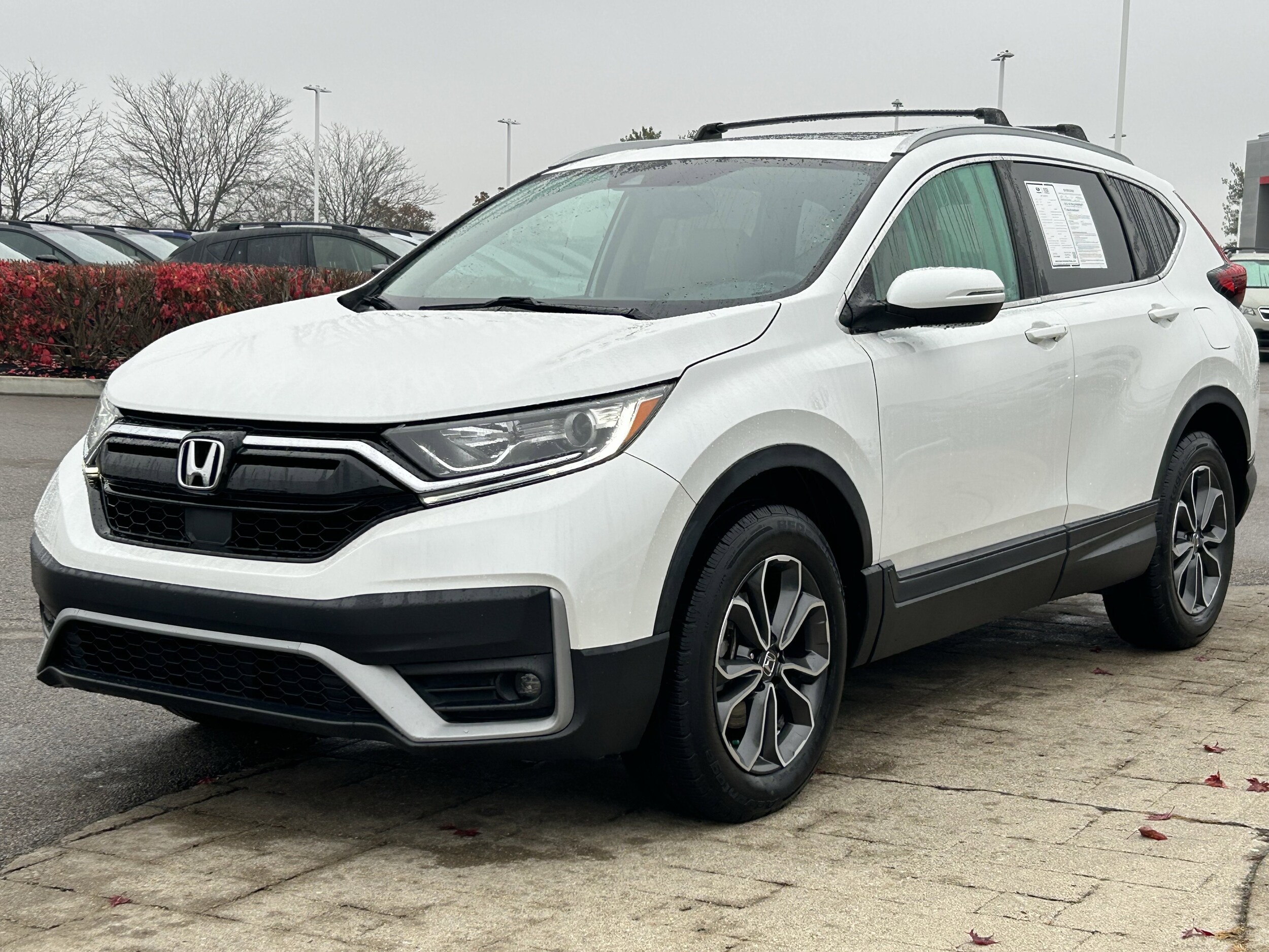 2020 Honda CR-V EX-L photo 3