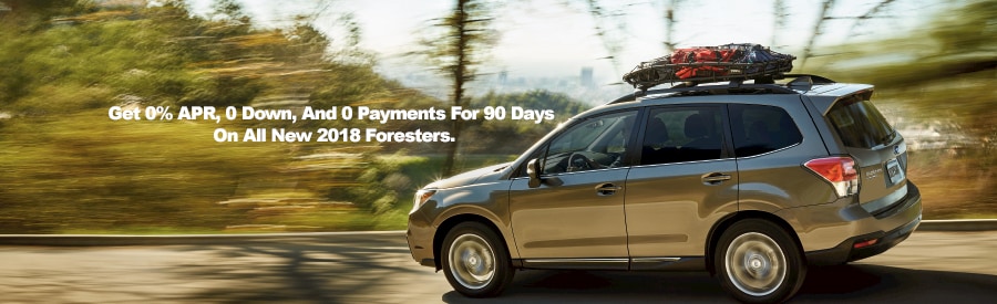 April Forester Web Blog Image.jpg