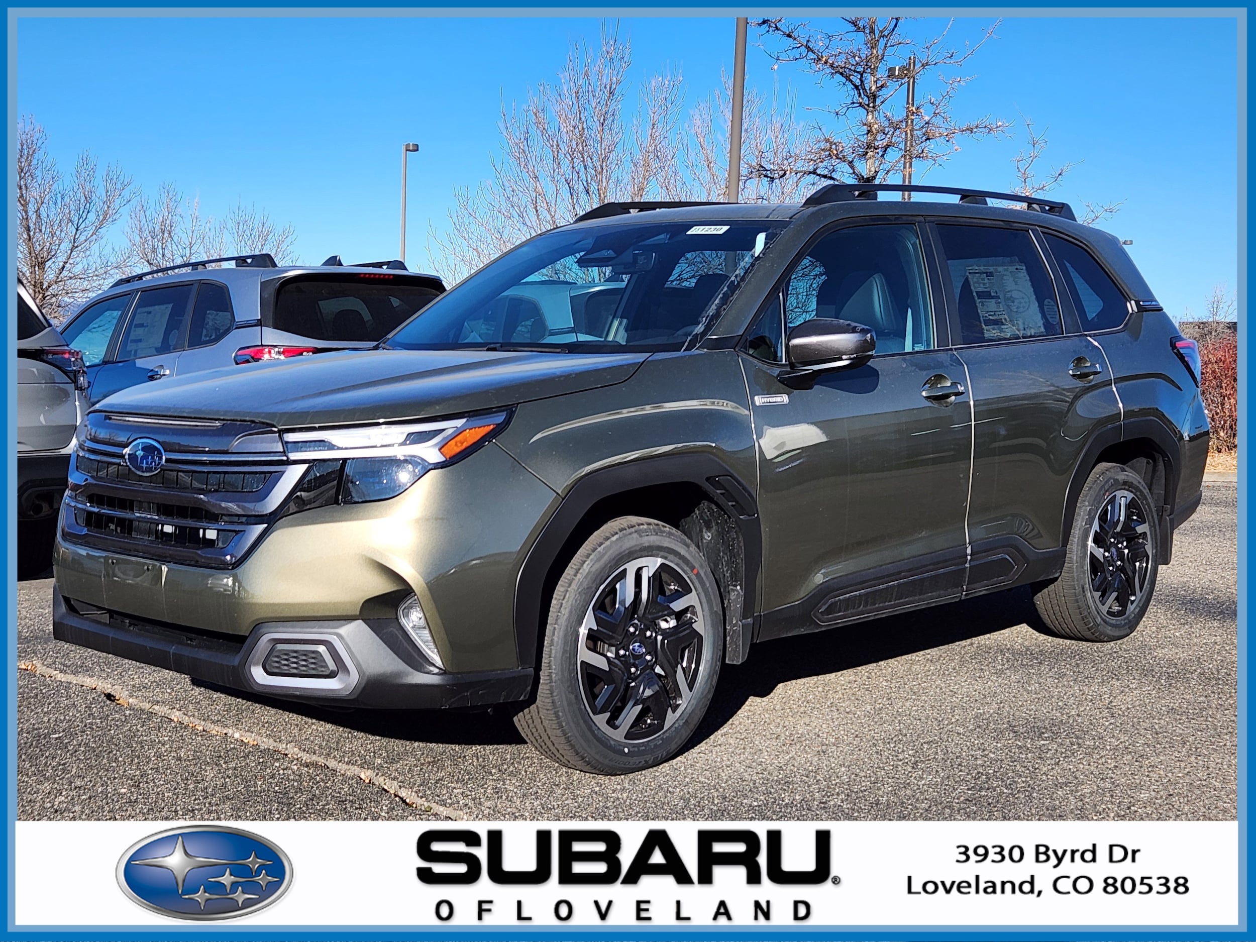 2025 Subaru Forester Limited's photo