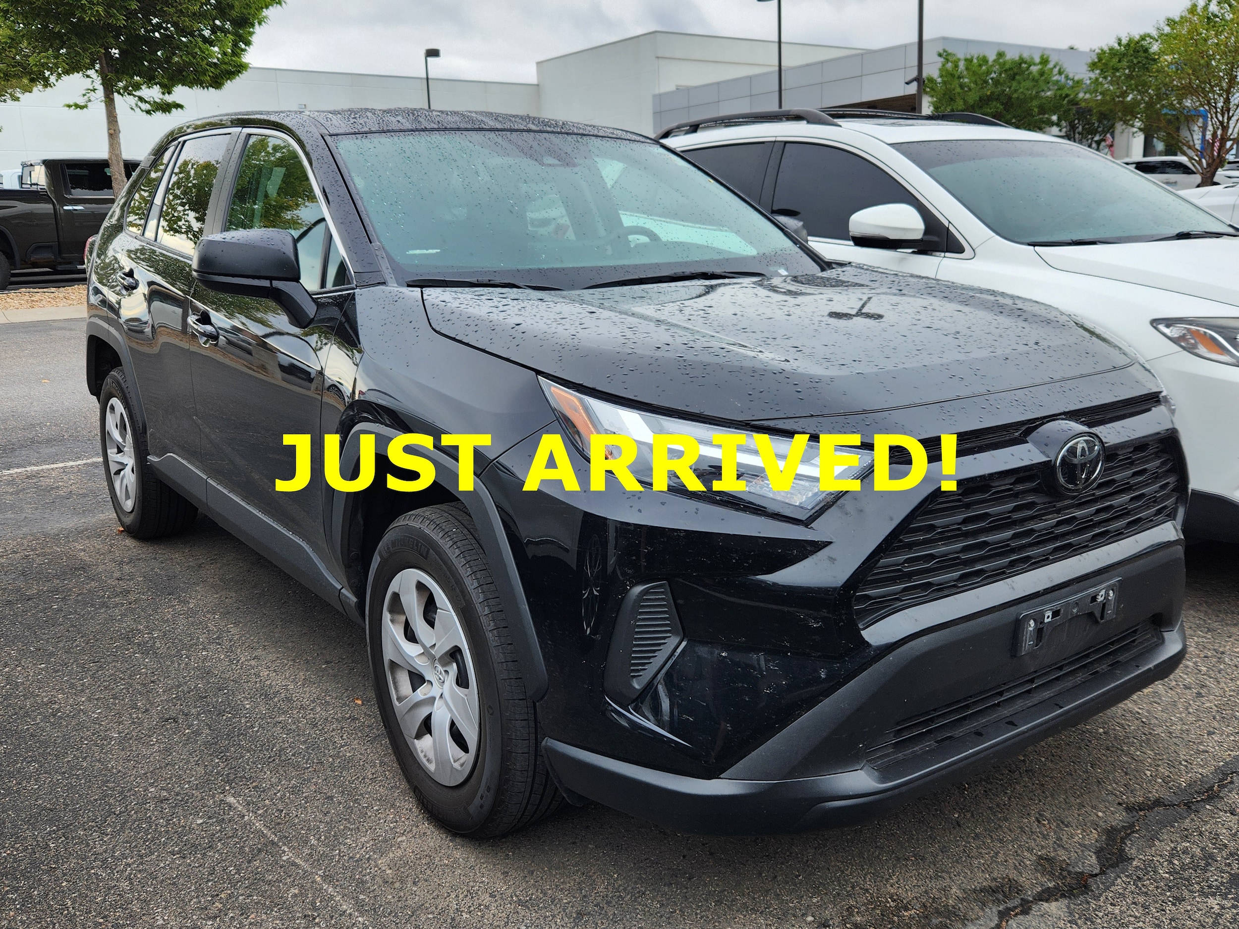 2023 Toyota RAV4 LE AWD