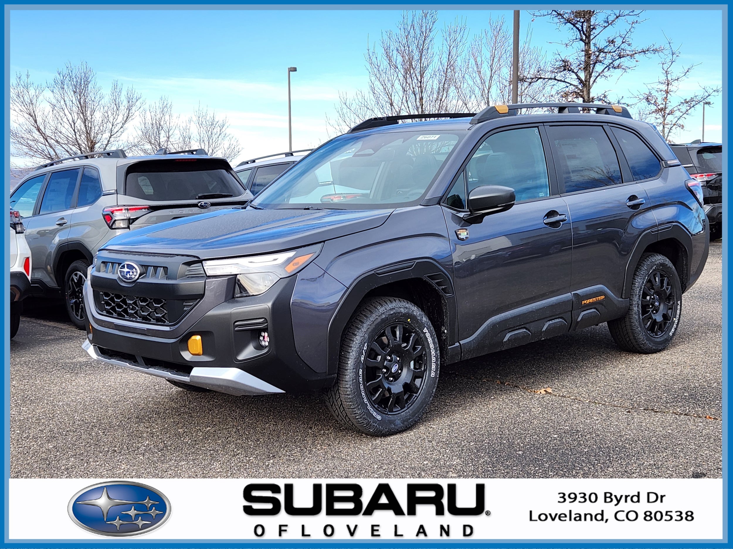 2026 Subaru Forester Wilderness's photo