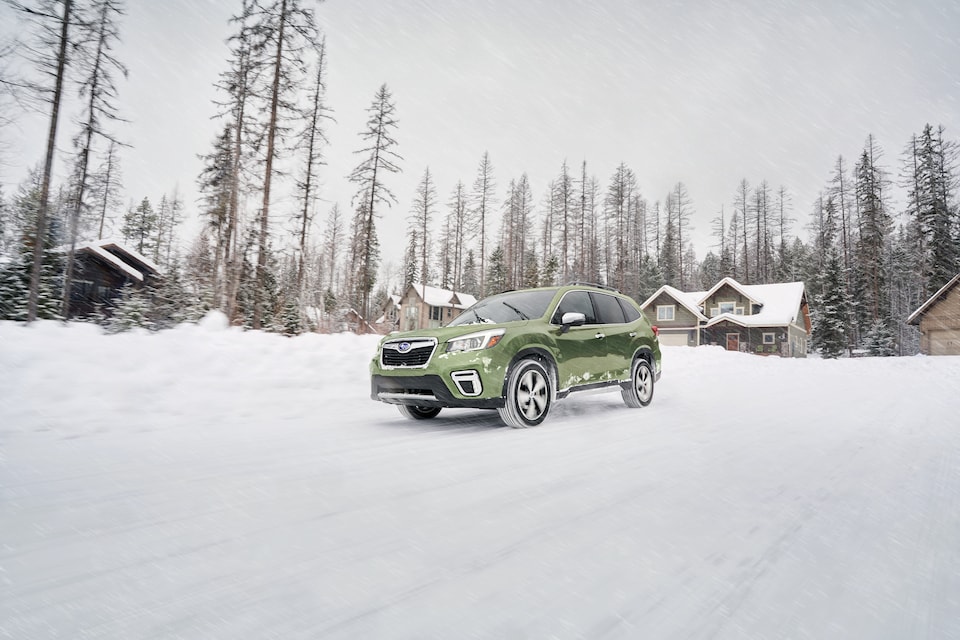 See Why the 2019 Subaru Forester is Perfect for Winter in Colorado | Subaru  of Loveland