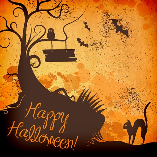 14351535483_20d114a623_e.jpg Happy Halloween