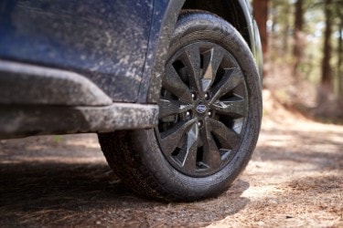 Subaru tire in the snow