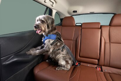Subaru Loves Pet Accessories | Patrick Subaru