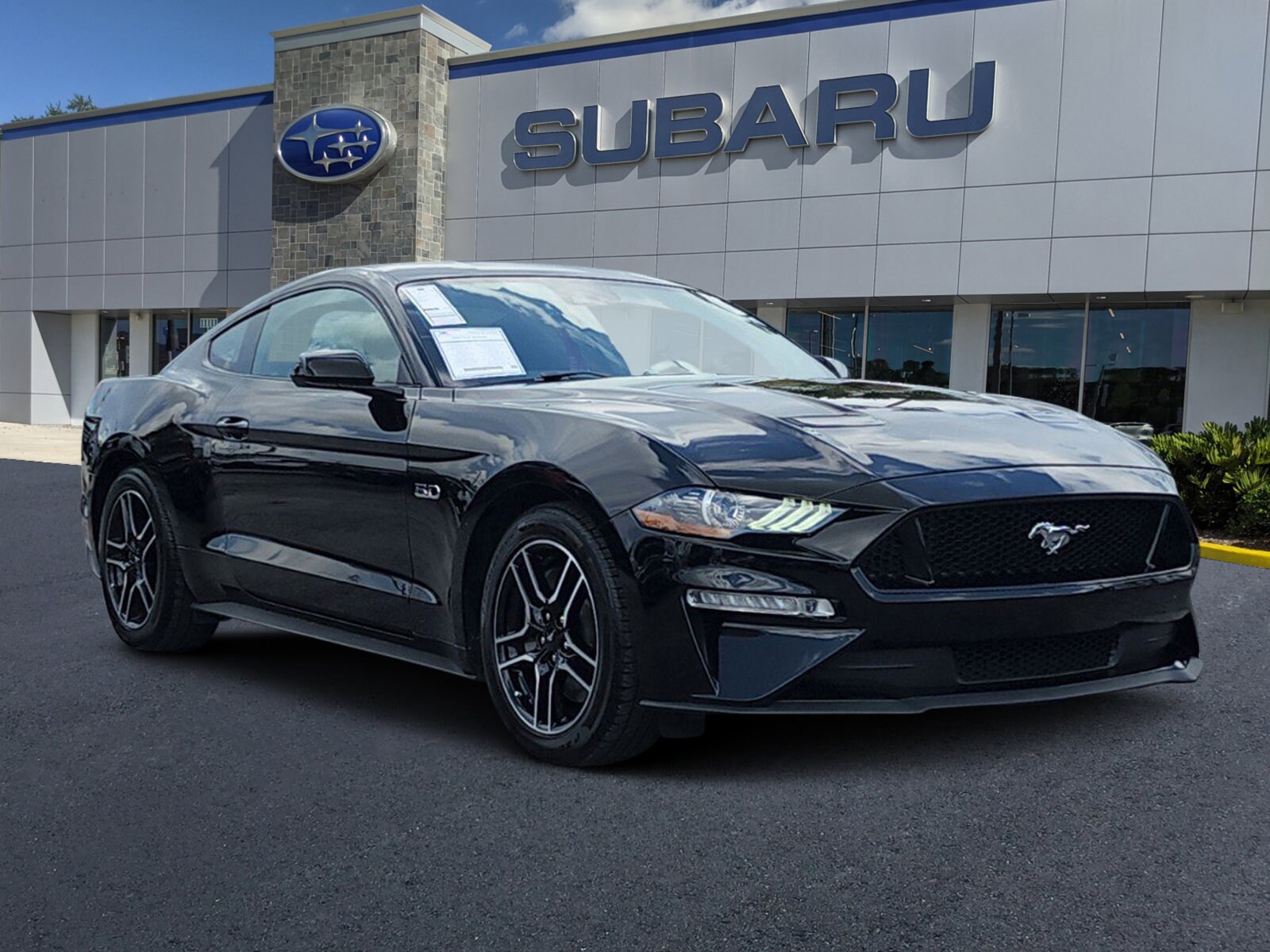 Used Ford Mustang Tampa Fl