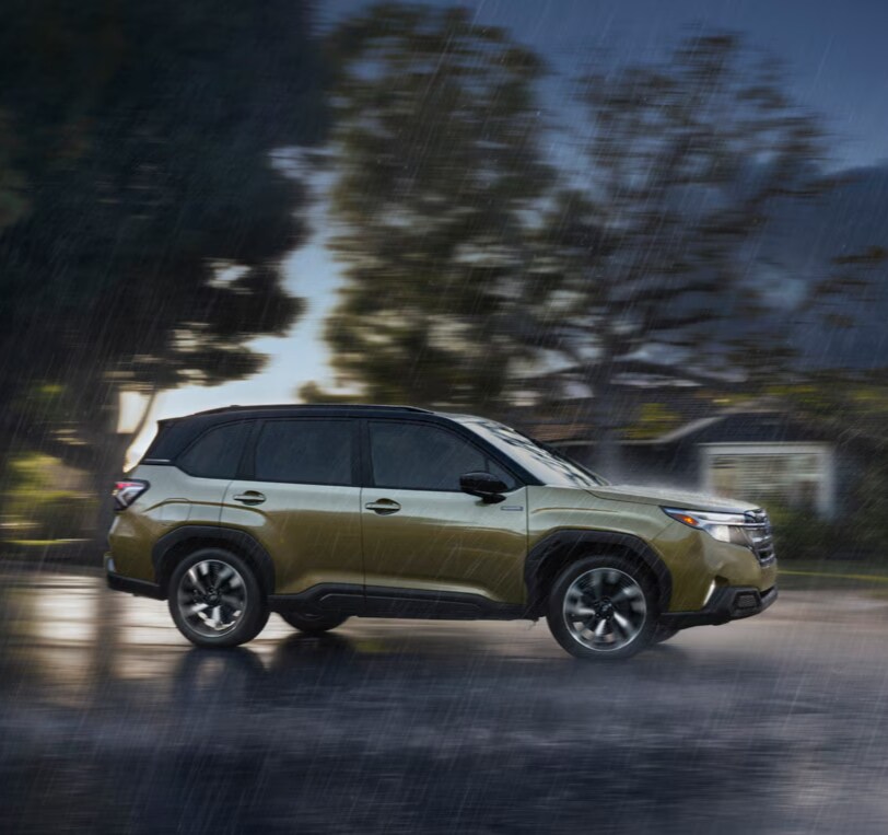 Forester Hybrid
