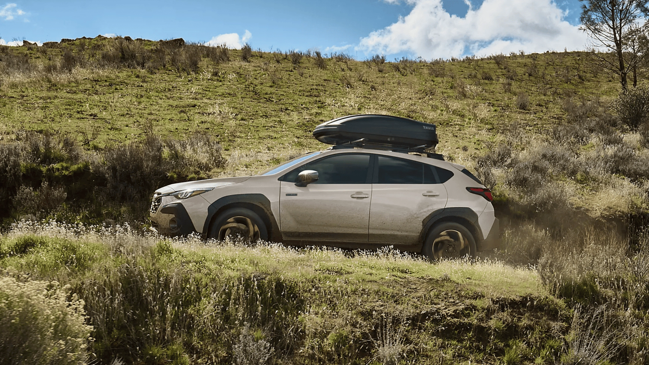2026 Subaru Crosstrek Hybrid white with roof box driving grassy off-road trail in Colorado Springs CO