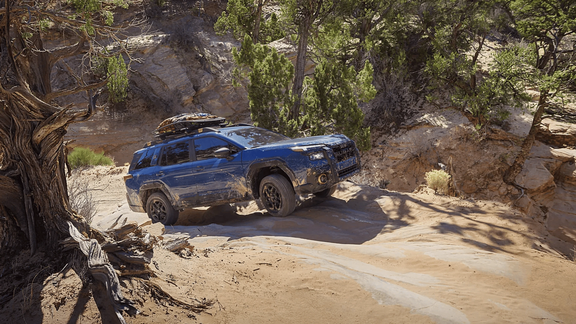 2026 Subaru Outback Wilderness in blue with roof cargo and yellow fog lights tackling muddy rocky desert canyon trail in Pueblo CO